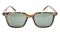 Unisex Medium Square Sunglasses. Tortoise Print Frame.